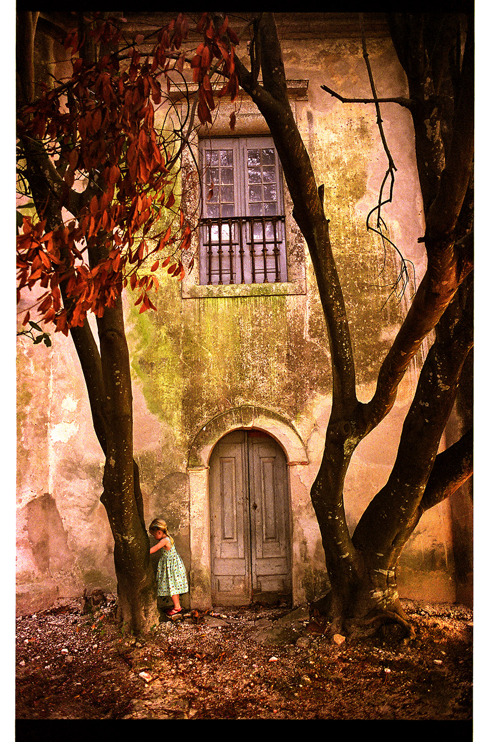 Peter Lang Casa Da India