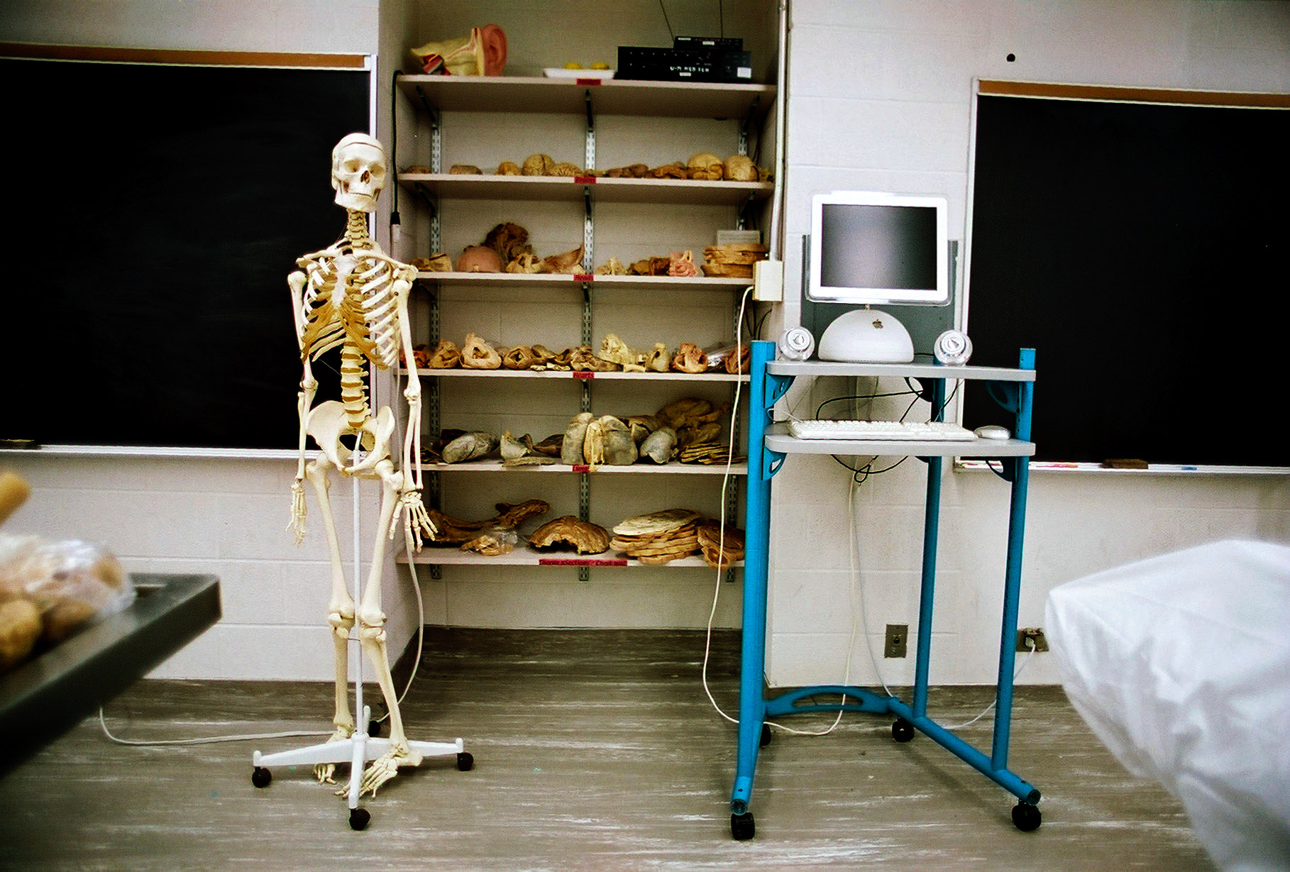 Peter Lang Skeleton Eyes The Competition