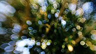  -  - A Seizure by Nathan Jones